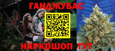 дмт Будённовск