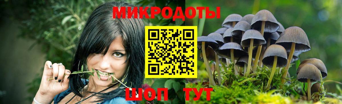 Псилоцибиновые грибы мухоморы Ярославль